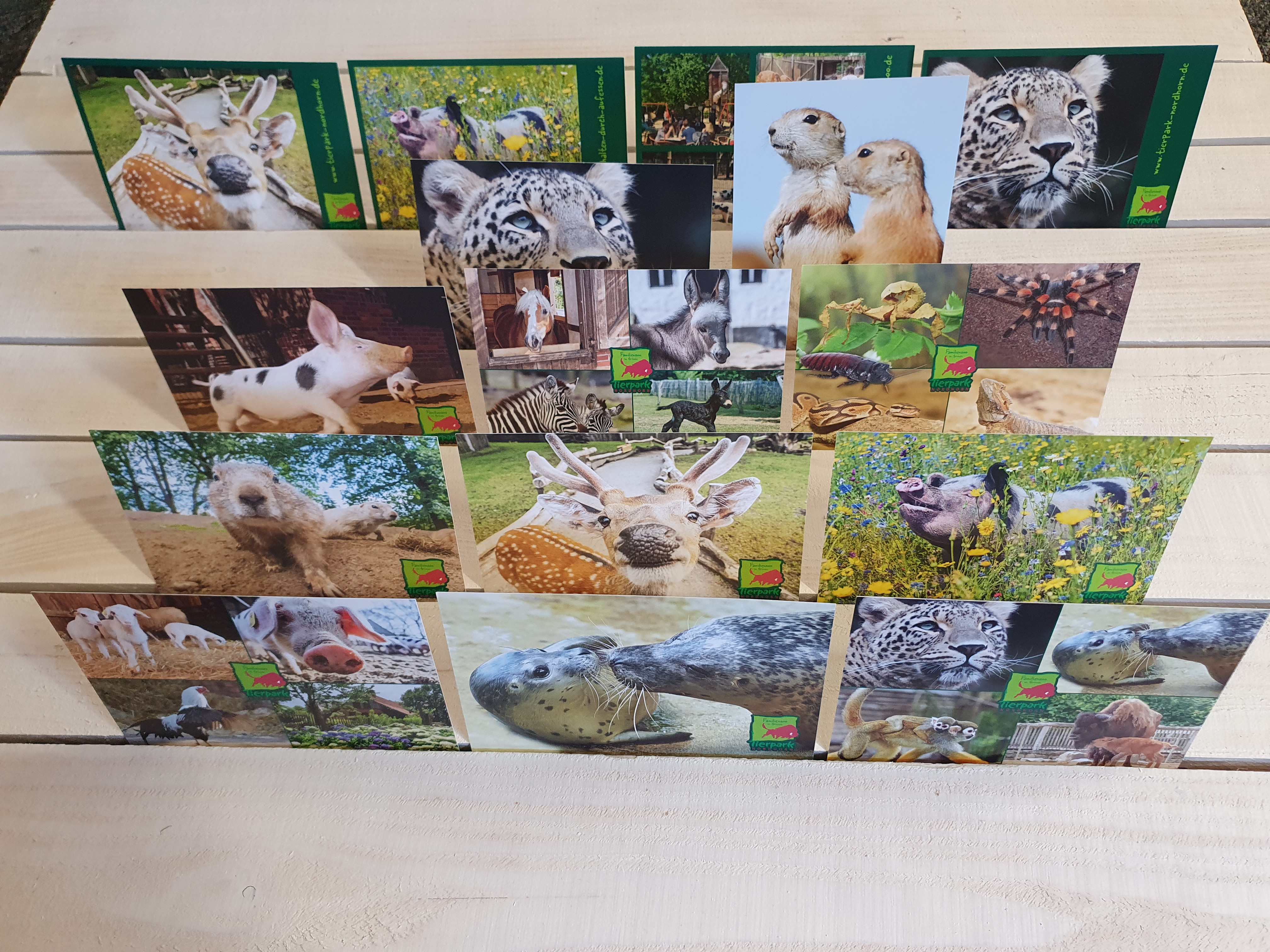 Tierpark-Postkarten